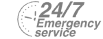 24/7 Emergency Service Pest Control in Carshalton, Carshalton Beeches, SM5. Call Now! 020 8166 9746